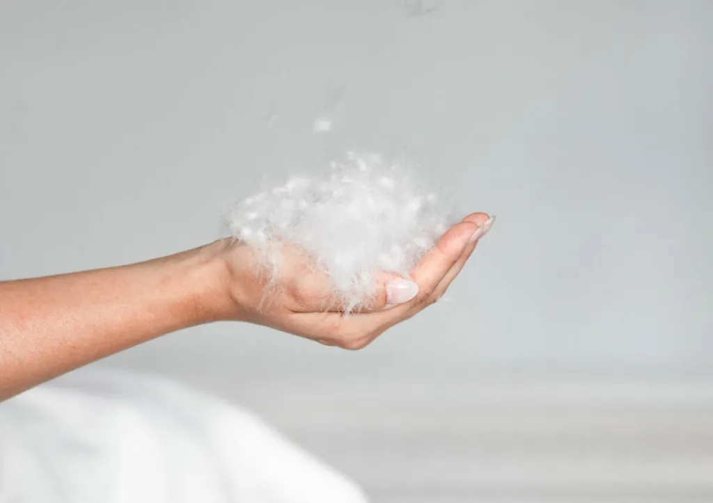 Selection by Bico Kissen ClimaLuxe Vario Nature Inhalt Entedaunen weiss auf Frauenhand