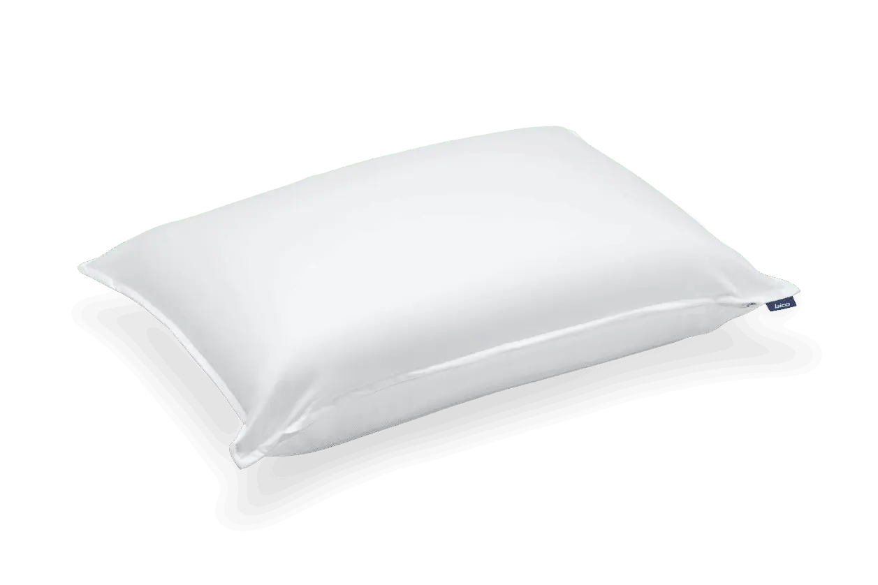 BodySoft