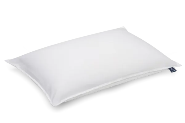 BodySoft Edition Trauffer